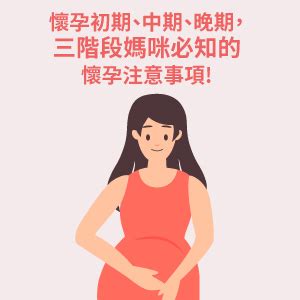 孕婦注意|懷孕初期、中期、晚期，三階段媽咪必知的懷孕注意事。